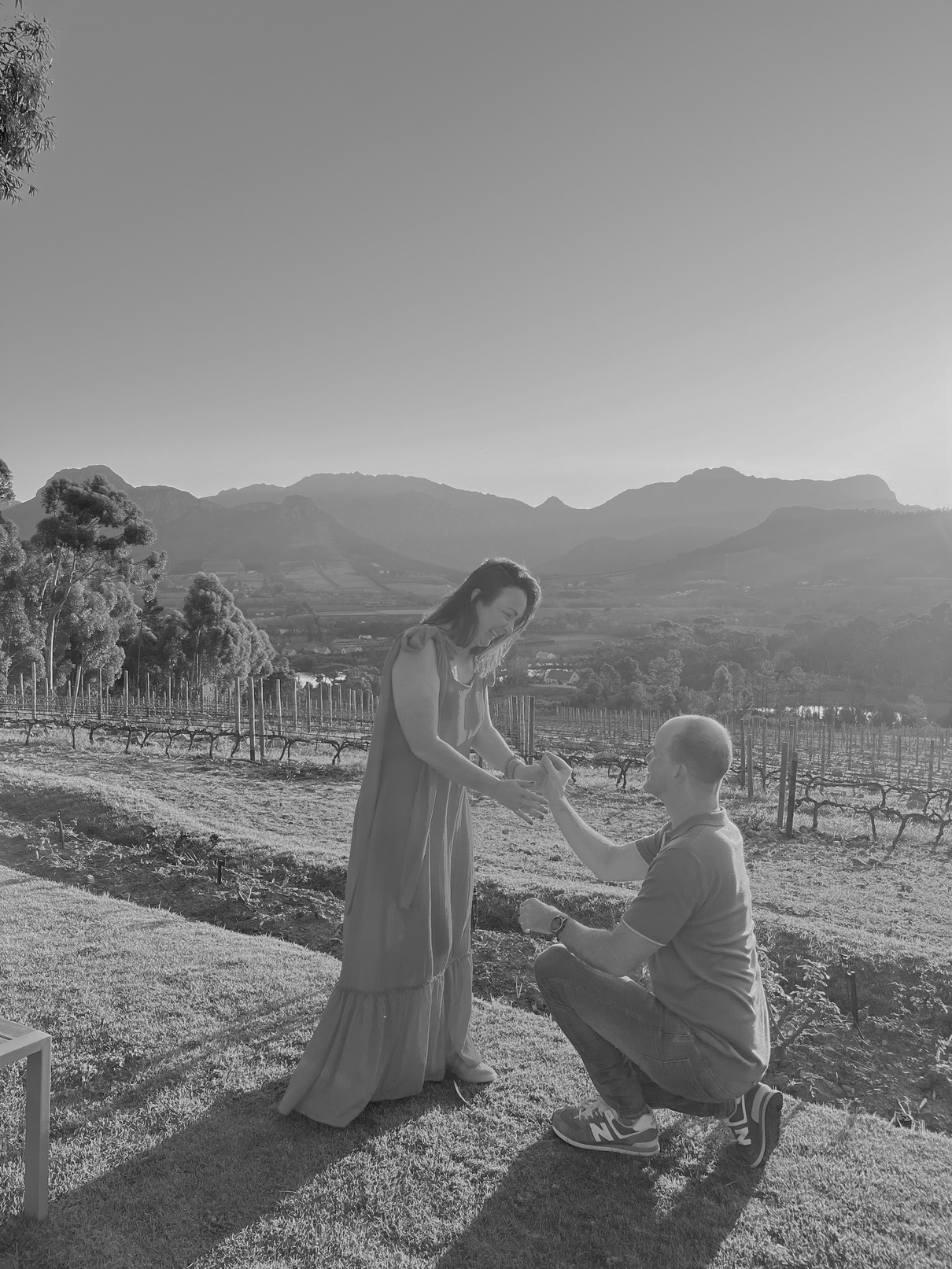 Andrew&rsquo;s proposal to Angel in the vineyard
